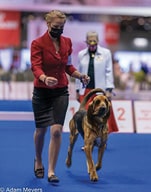 AKC Nat CH Jr Interview Emma Rogers 2021 Best Junior Handler Emma Rogers
