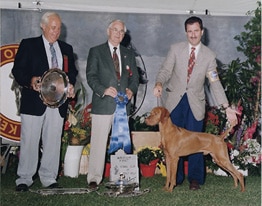 Koppertone Vizslas | Mark & Bonnie Goodwein