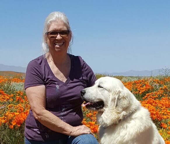 Euzkalzale Great Pyrenees | Terry Denney-Combs | Showsight