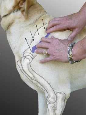 Figure 10. Gently move your hands back and forth.