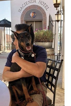 Purebred German Pinscher Purebred German Pinscher
