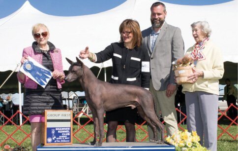 ‘Roxom’ winning Group 1 at Shawnee KC.