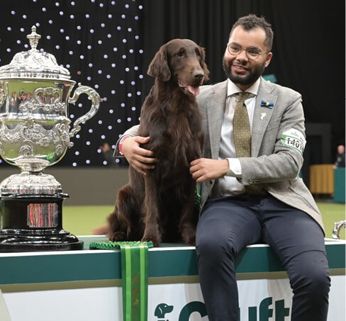 Best in Show: Int. Ch. Almanza Backseat Driver, Retriever (Flat Coated) Best in Show: Int. Ch. Almanza Backseat Driver, Retriever (Flat Coated)