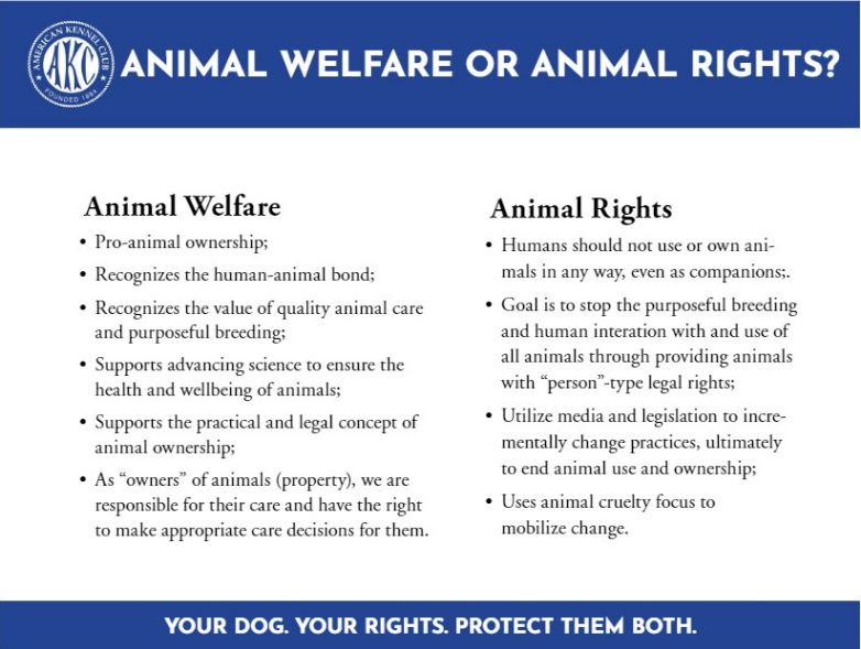 Difference Between Animal Rights and Animal Welfare