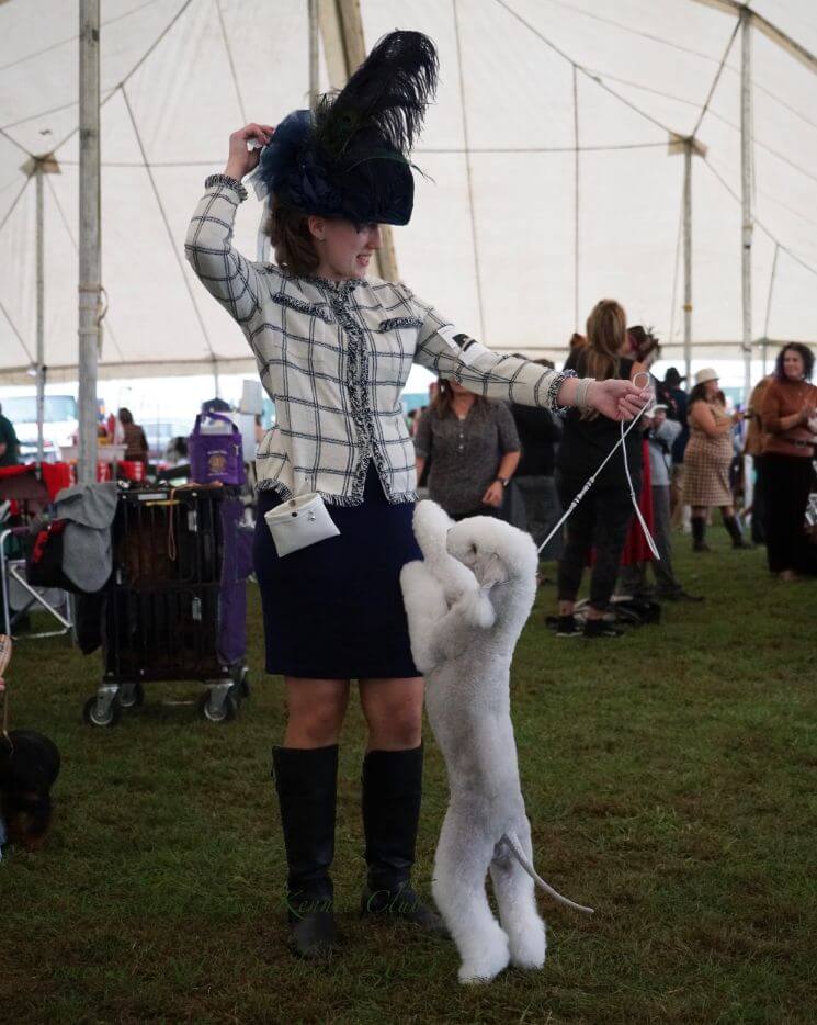 Interview with Owner Handler Katie Cecilio