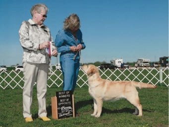 Dog Breed Standard