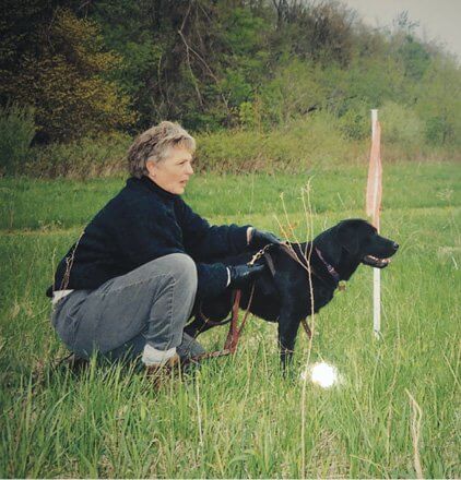 Dog Breed Standard