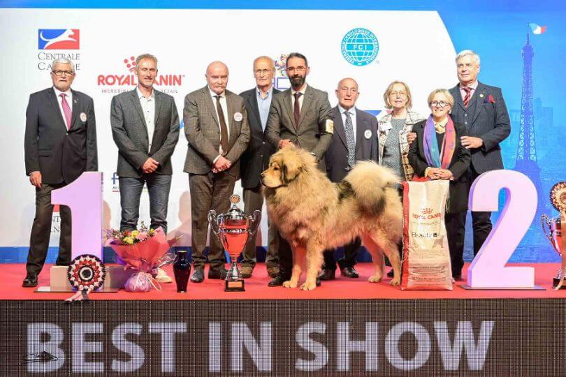European Dog Show and Championnat de France 2022