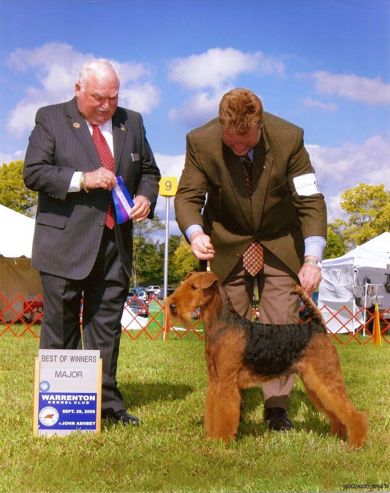 Longvue Airedale Terriers | Todd and April Clyde