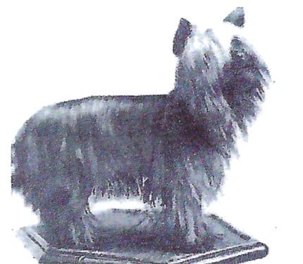 Heritage of the Yorkshire Terrier Dog Breed