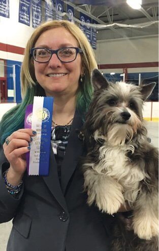 Spotlight on the Purebred Chinese Crested Dogs