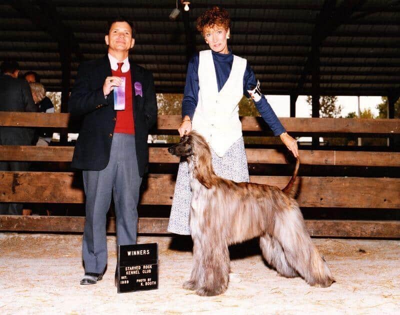 Wynsyr Kennels - CH Charlemagne Kiara, "Kiara"