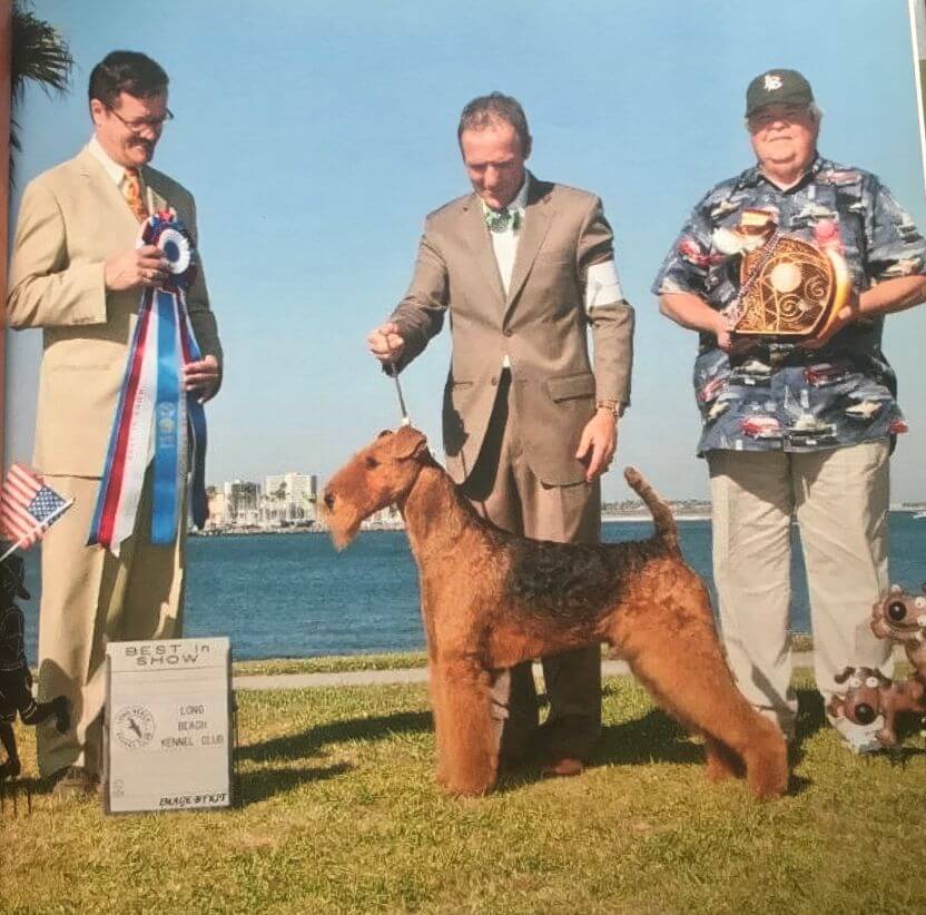 Longvue Airedale Terriers | Todd and April Clyde