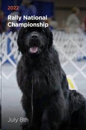 AKC Rally National Championship