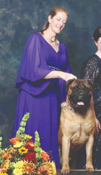Affinity Bullmastiffs - Carrie Lane Affinity Bullmastiffs - Carrie Lane