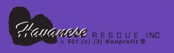 havanese-rescue Havanese Rescue, Inc banner