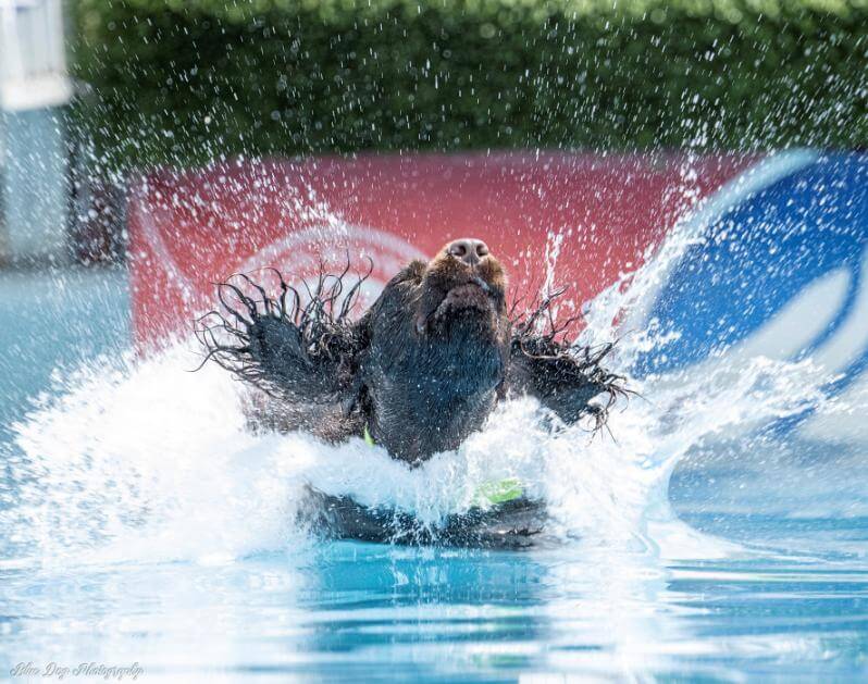 The first splash off the dock is often the scariest