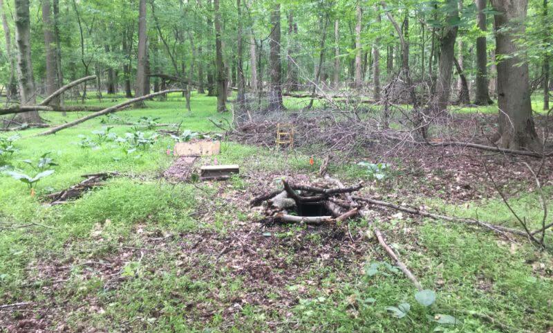 The new facility for Earthdog tests and terrier trials at ev-ry Place in Mt. Laurel, New Jersey, offers 27 acres of carefully planned trails and den sites, together with a permanent headquarters building and great camping.