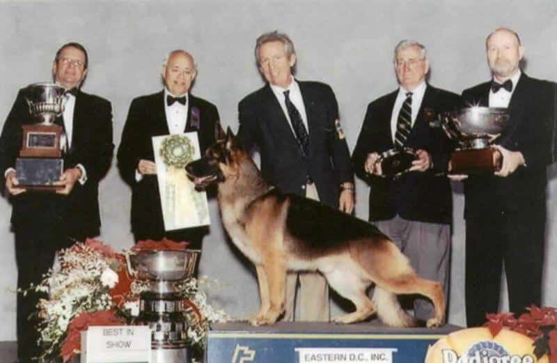 James Moses winning "Best in Show" with his German Shepherd Dog