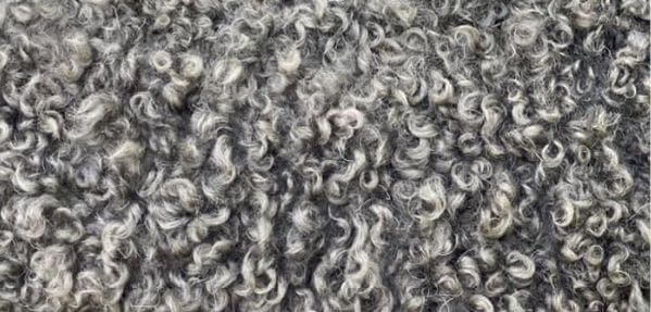 Pumi coat texture