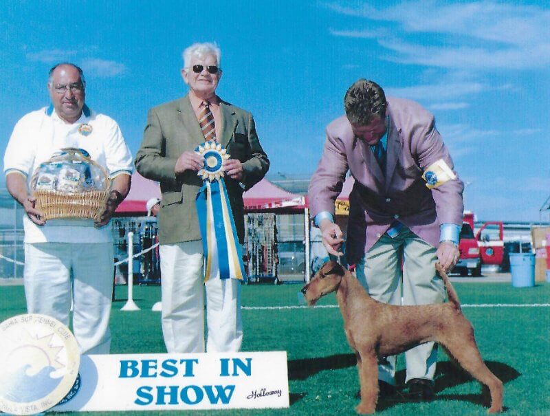 Rockledge Irish Terriers - Ch. Falcarragh Meg O’Rockledge
