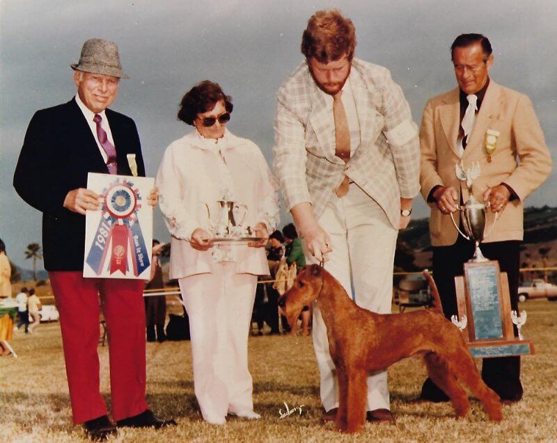 Rockledge Irish Terriers - Ch. Rockledge’s Mick Michael