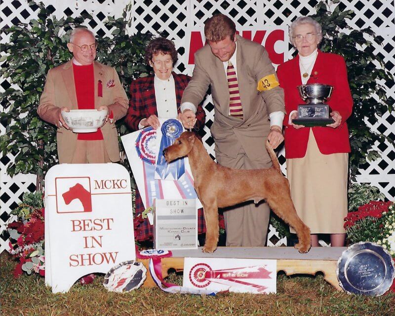 Rockledge Irish Terriers - Ch. Rockledge’s Mick of Meath