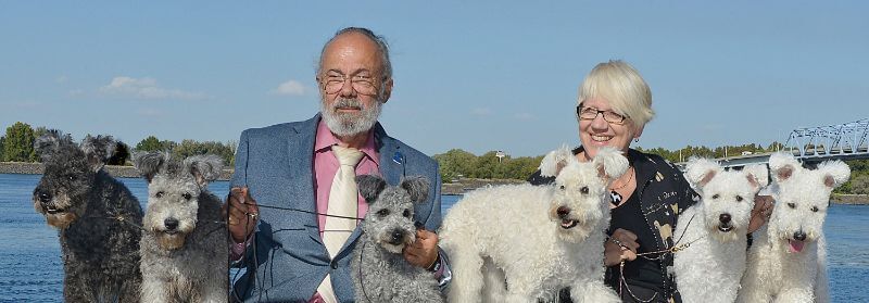 Chris and Tom pictured with dogs they bred from six different litters, all champions, three of them National Specialty BOB winners.