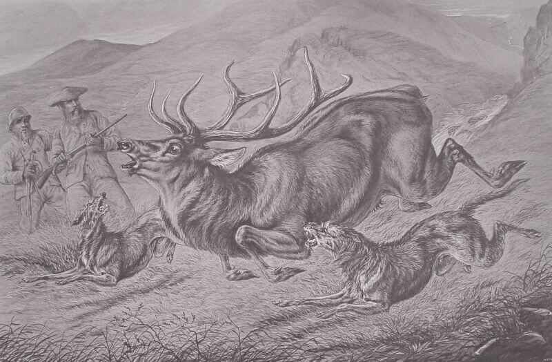 The Titan • Peogh & Glen. Crealock 1873