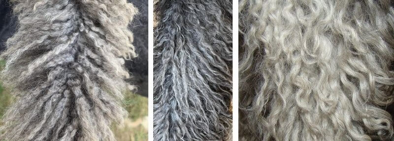 Leg Hair Has Different Types of Curls