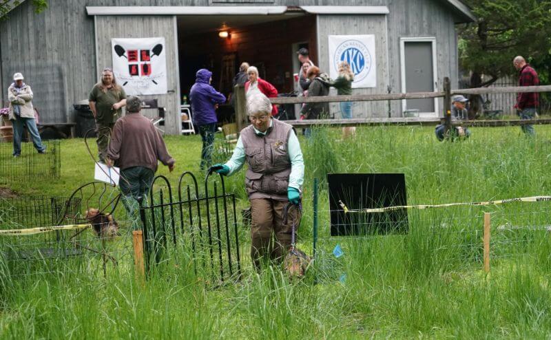 All performance tests and trials offer a certain camaraderie that can be difficult to find. Novices (and even those just curious) are welcomed and can usually enter at the time of the test. The basic tests are located ‘close to home,’ with the terrain and den increasingly challenging in the more advanced classes.