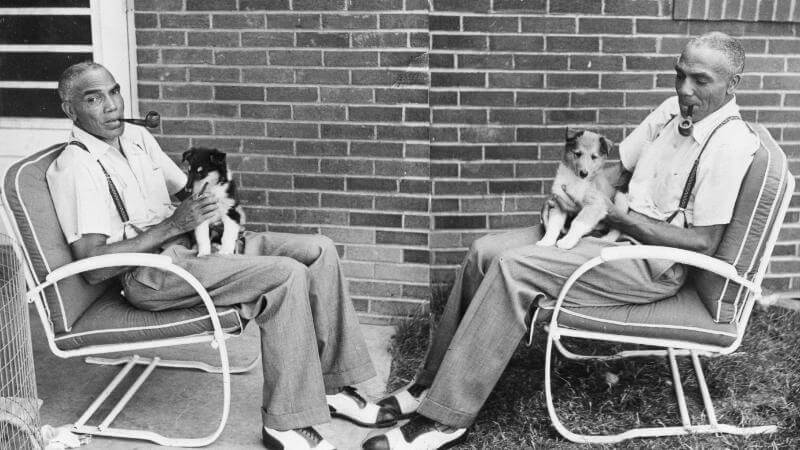 Double take... Dr. James McCain showing off two of his puppies, a tri-color and a sable and white.