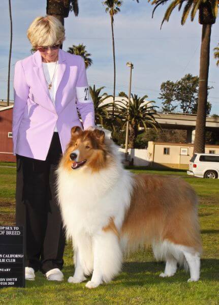 Gayle Kaye with CGH Chelsea Mr. GQ, one of her scores of home-bred Chelsea Champions.