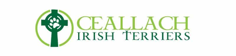 Kelly Edwards' Ceallach Irish Terriers banner