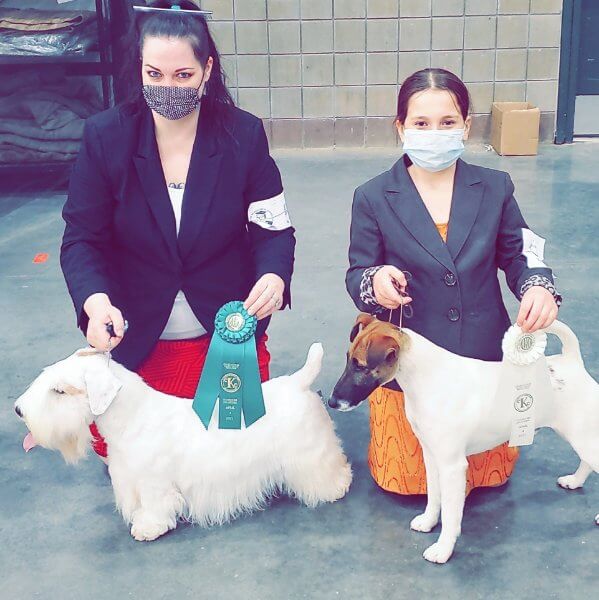 Erica Dunlavey Ellusion's Kennel Sealyham Terriers