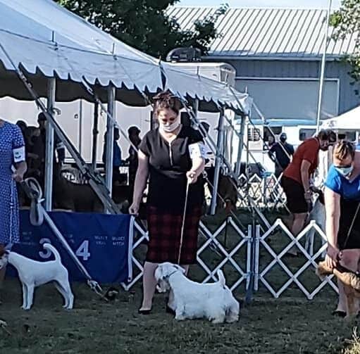 Erica Dunlavey with her dog in the show ring
