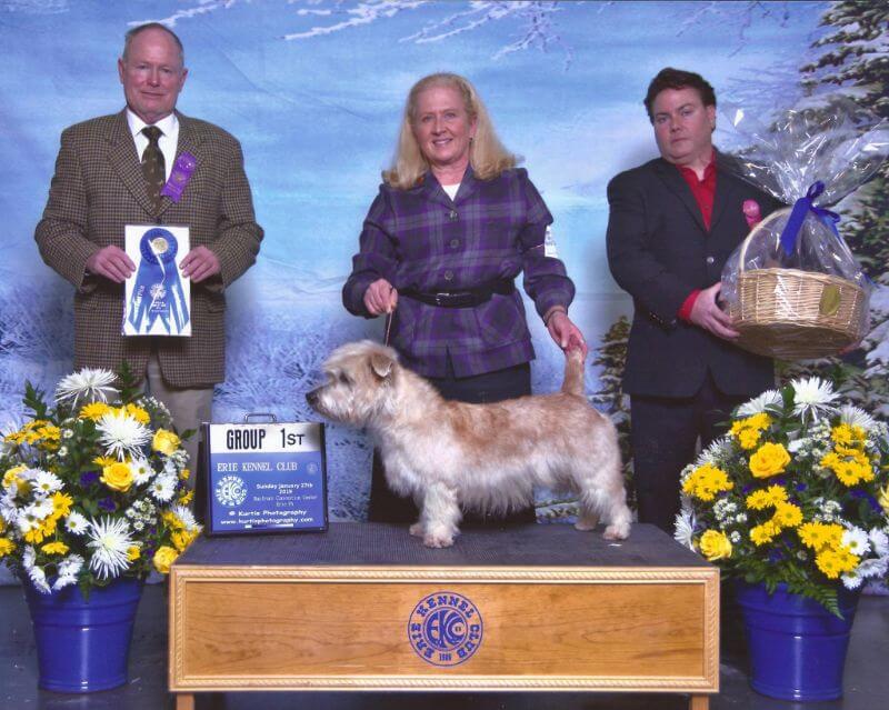Jo Lynn winnin Group first with her Glen of Imaal Terrier