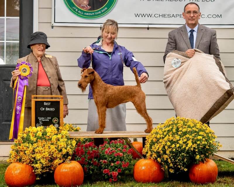 Mechele Thacker - MyTime Irish Terriers