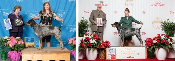 2 photos showing Kacie Davis Jordan with her dog "Big John"