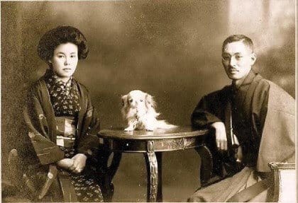 Japanese Chin origin