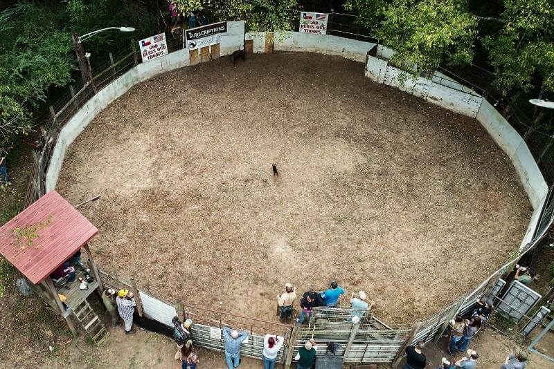 A drone’s-eye view of a Hog Bay pen at Boar’s Nest in Texas. The large, covered grandstand is out of the photo on the right.