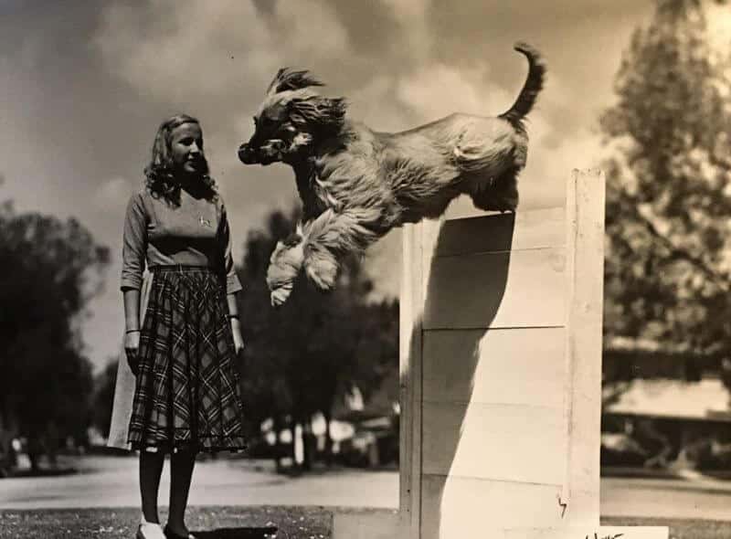 Black and white photo of Gini Withington with Koh-I-Baba UD