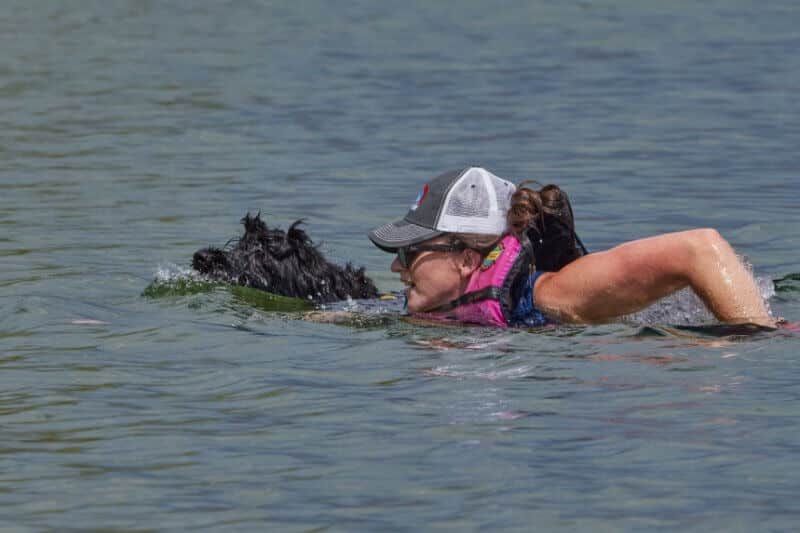 Portuguese Water Dog Water Trials