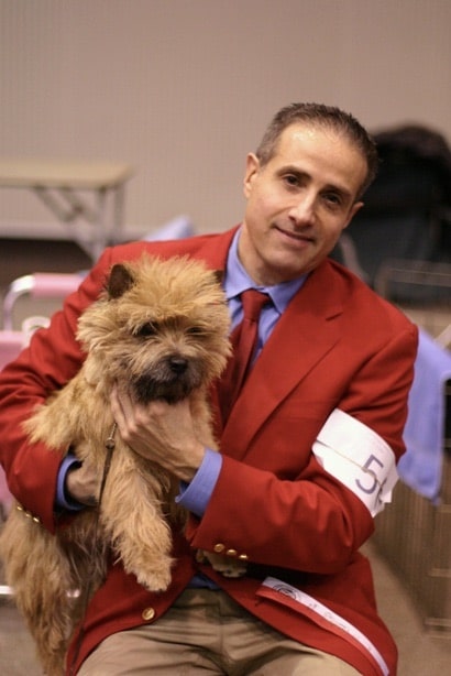 Joe Vernuccio of Ashwood Cairn Terriers