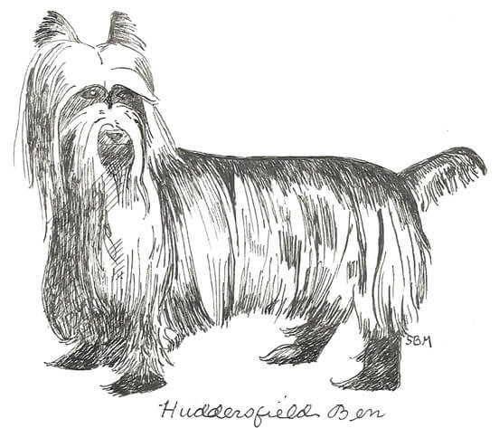 Huddersfield Ben illustration