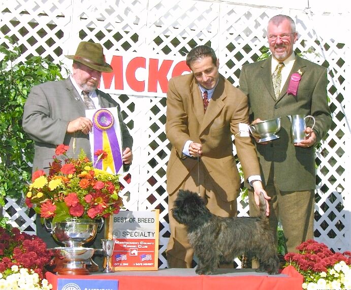 Ch. Ashwood Kenric’s American Idol Wins the National Specialty