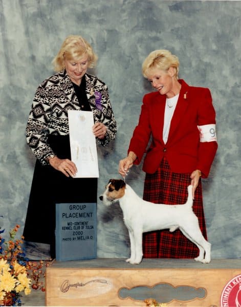 BISS CH Heythrop Trailblazer (Heythrop Tweed x Heythrop Trouble),bred by Roger and Linda Bigland.