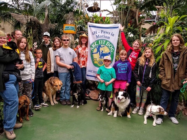 AKC Fit Dog Titles Group photo