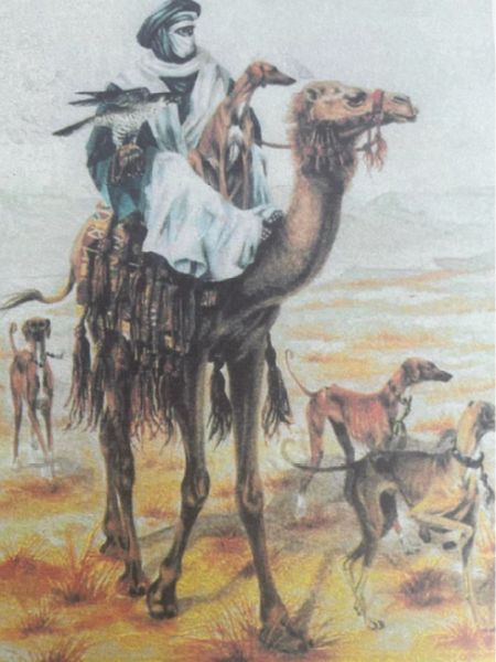 Figure 2. Sketch of the Tuareg with an Azawakh, Niger 1998. artist unknown