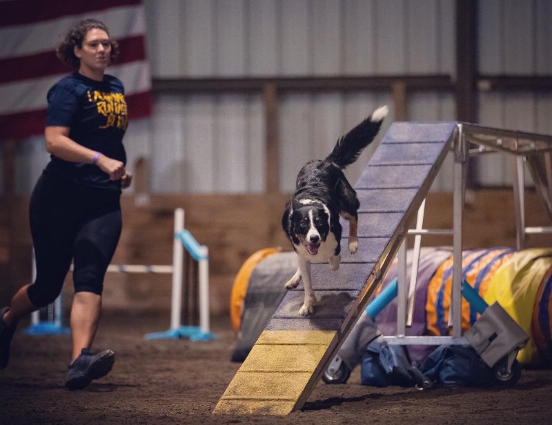 Caitlin Ascher with her Border Collie dog